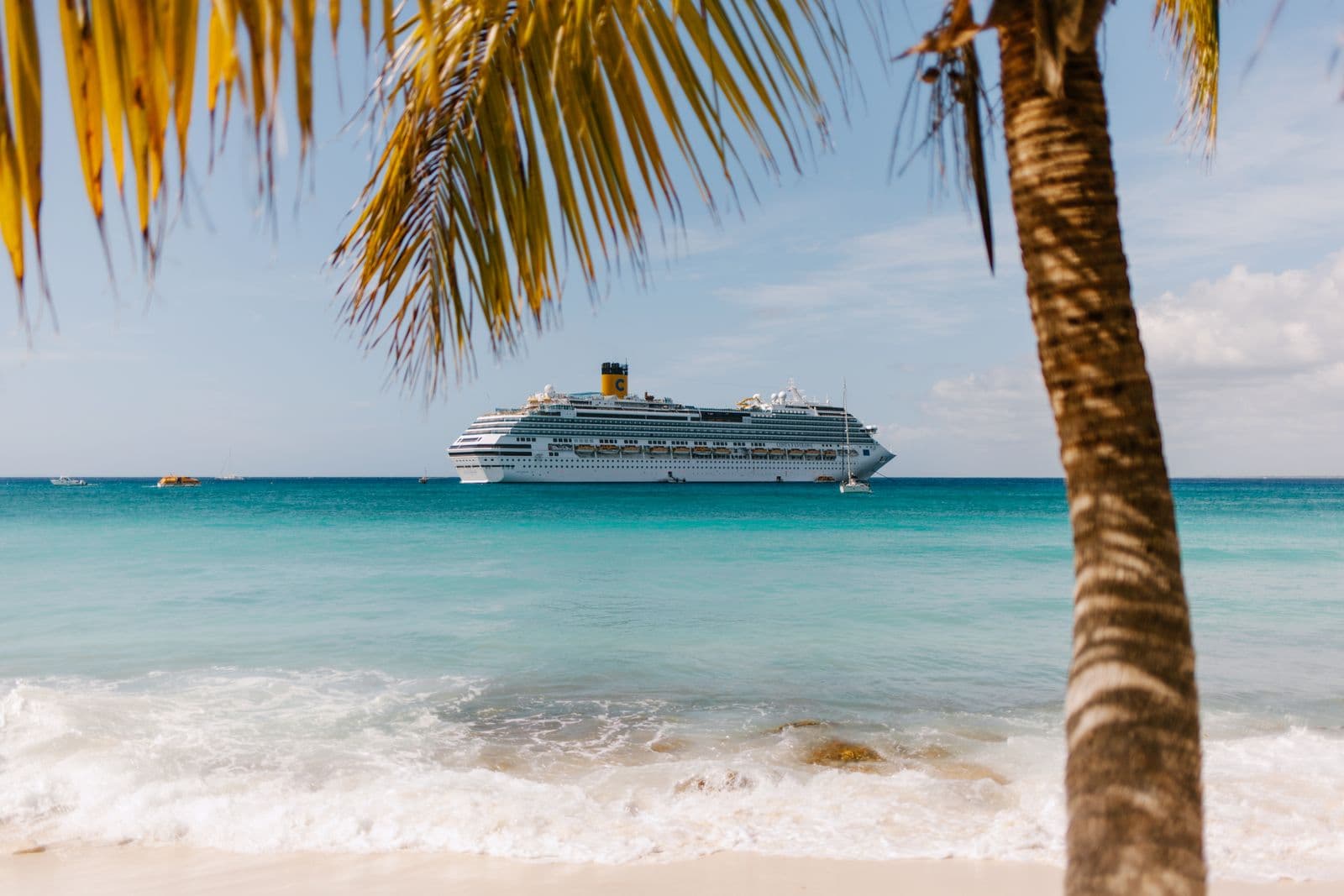 A cruise ship offshore beyond a palm-lined tropical beach